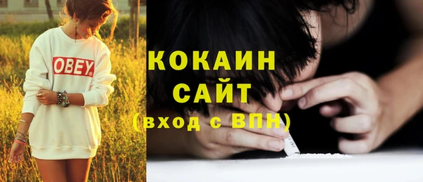 гашик Билибино