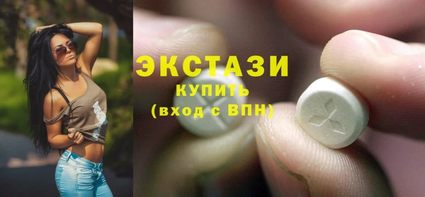 гашик Билибино