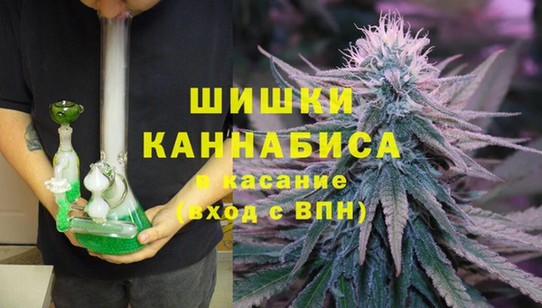 гашик Билибино