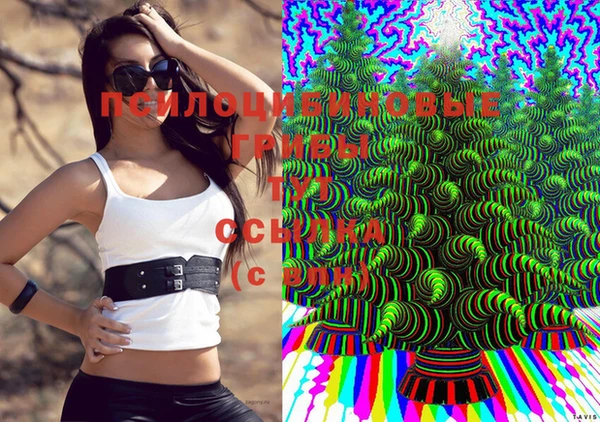 гашик Билибино