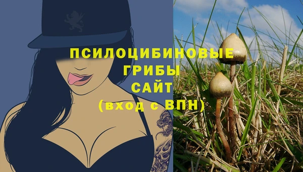 PSILOCYBIN Бикин