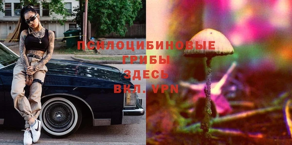 гашик Билибино