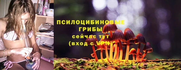 гашик Билибино