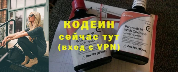 гашик Билибино