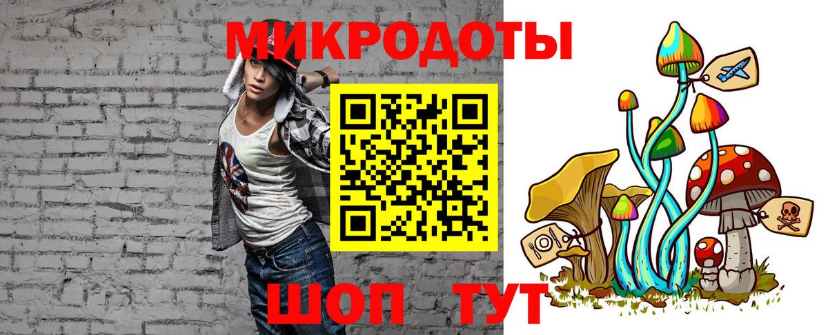 Псилоцибиновые грибы Psilocybe  Псилоцибиновые грибы прущие грибы  что такое   Избербаш 