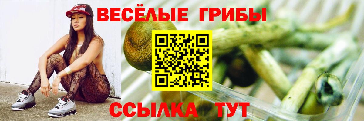 Галлюциногенные грибы GOLDEN TEACHER Избербаш